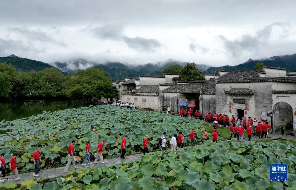 威尼斯手机